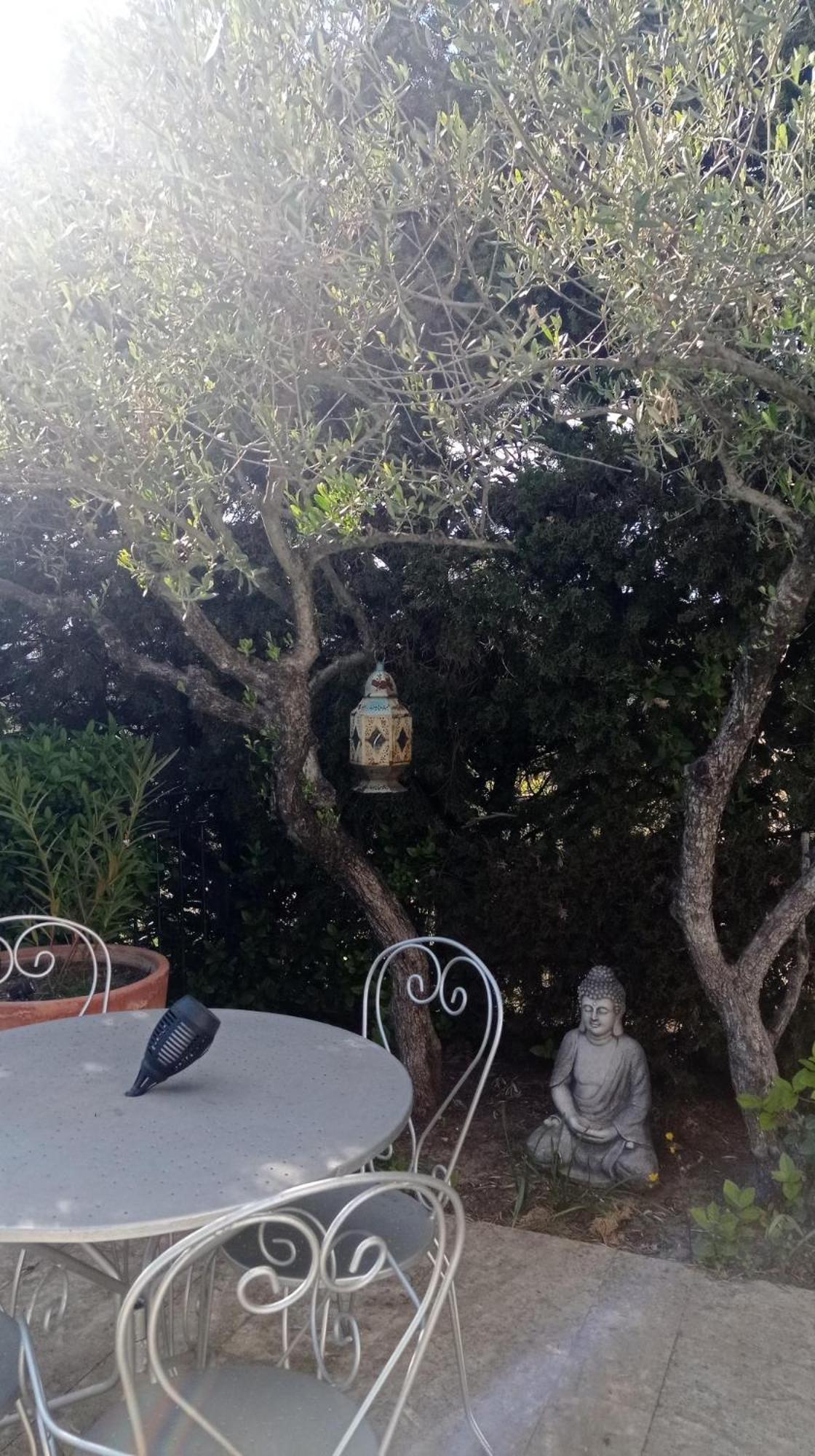 Location Gite En Provence Beaucaire  Extérieur photo