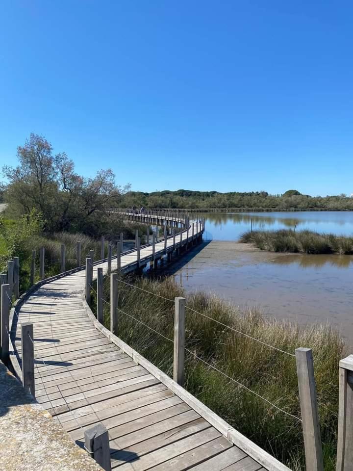 Location Gite En Provence Beaucaire  Extérieur photo