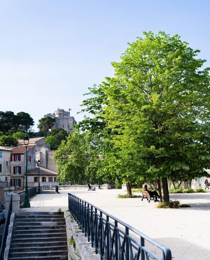 Location Gite En Provence Beaucaire  Extérieur photo