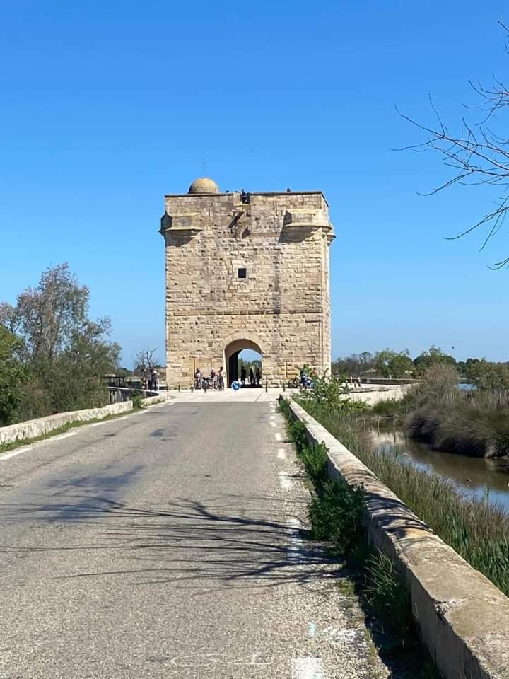 Location Gite En Provence Beaucaire  Extérieur photo