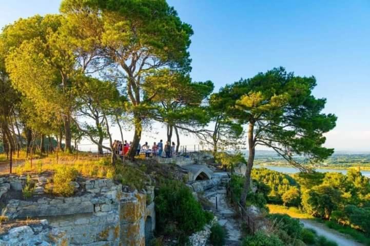 Location Gite En Provence Beaucaire  Extérieur photo